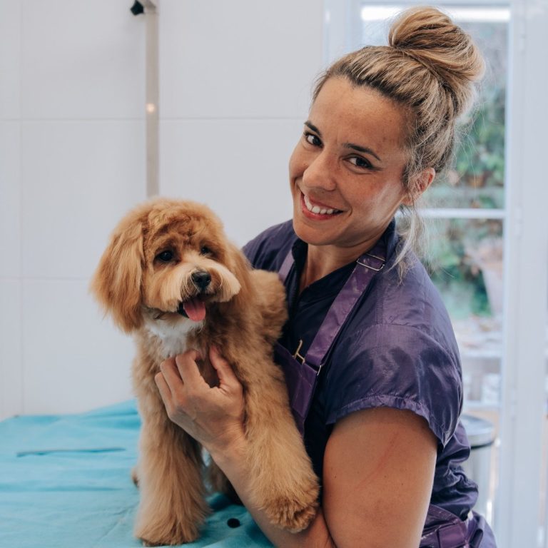 holistic pet grooming