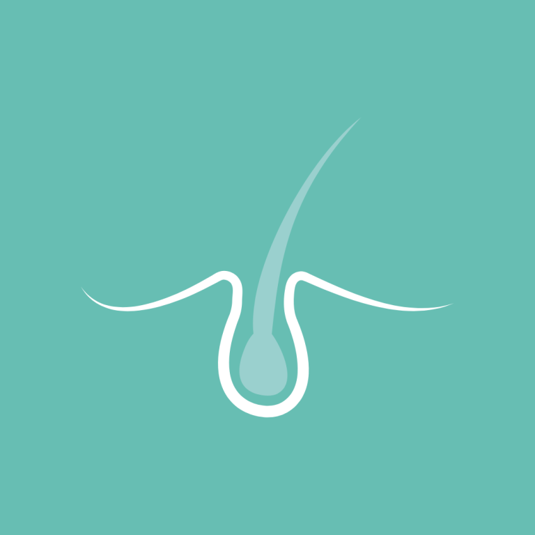 derma treatments for pets